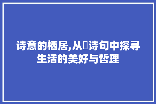 诗意的栖居,从珵诗句中探寻生活的美好与哲理