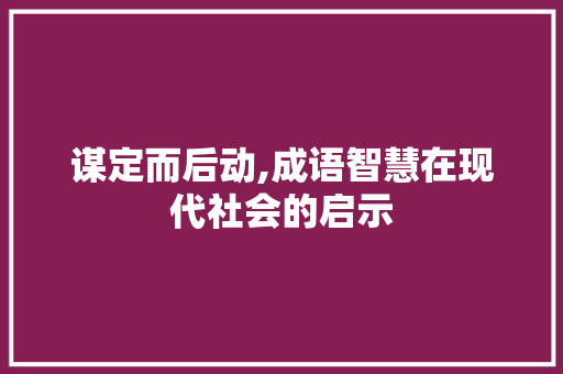 谋定而后动,成语智慧在现代社会的启示