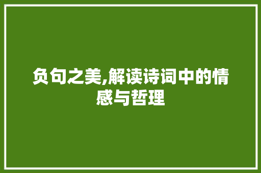 负句之美,解读诗词中的情感与哲理