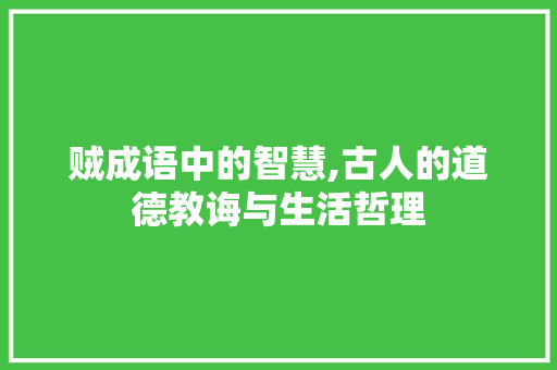 贼成语中的智慧,古人的道德教诲与生活哲理
