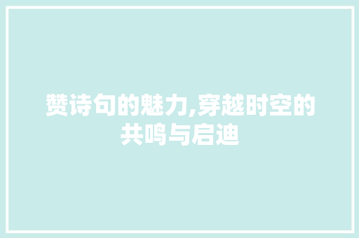 赞诗句的魅力,穿越时空的共鸣与启迪