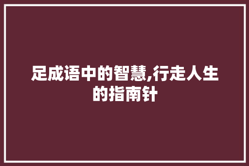 足成语中的智慧,行走人生的指南针