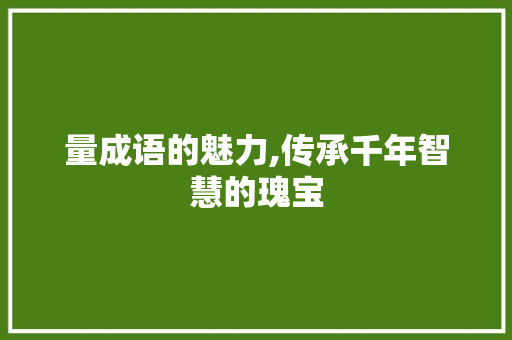 量成语的魅力,传承千年智慧的瑰宝