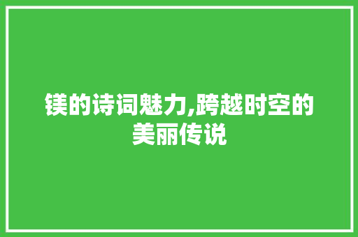 镁的诗词魅力,跨越时空的美丽传说