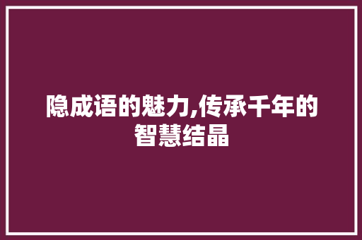隐成语的魅力,传承千年的智慧结晶