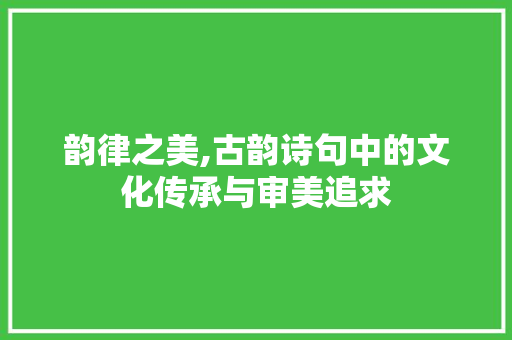 韵律之美,古韵诗句中的文化传承与审美追求