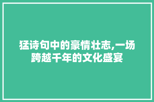 猛诗句中的豪情壮志,一场跨越千年的文化盛宴