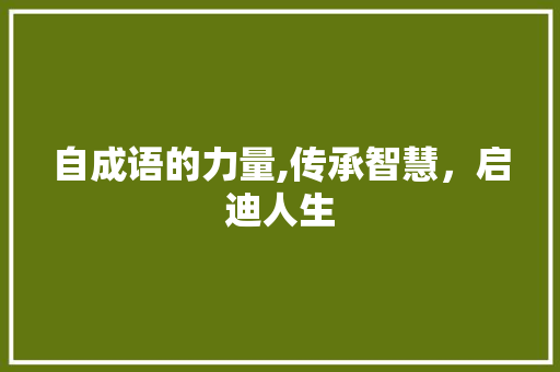 自成语的力量,传承智慧，启迪人生