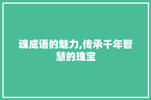 魂成语的魅力,传承千年智慧的瑰宝