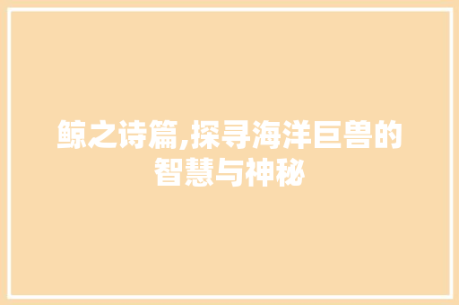 鲸之诗篇,探寻海洋巨兽的智慧与神秘