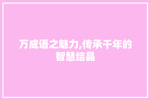 万成语之魅力,传承千年的智慧结晶