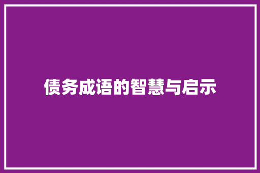 债务成语的智慧与启示