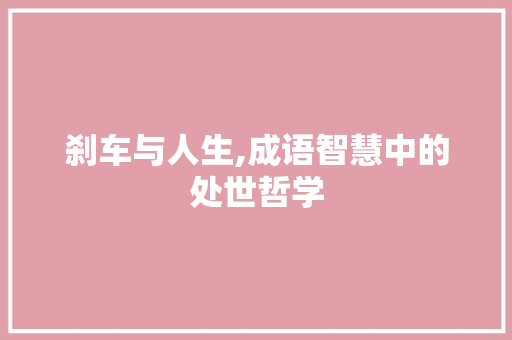 刹车与人生,成语智慧中的处世哲学