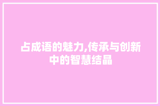 占成语的魅力,传承与创新中的智慧结晶