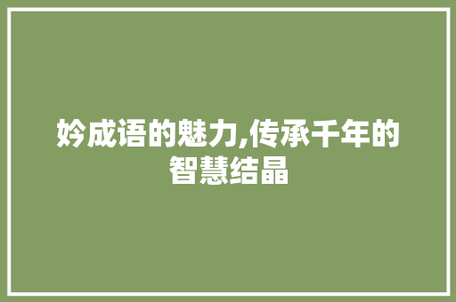妗成语的魅力,传承千年的智慧结晶