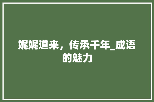 娓娓道来，传承千年_成语的魅力