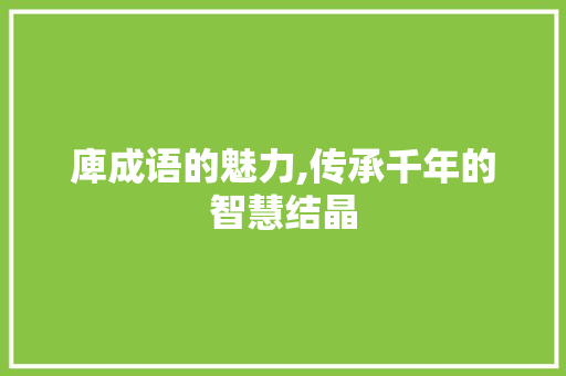 庳成语的魅力,传承千年的智慧结晶