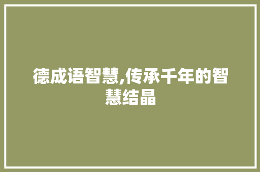 德成语智慧,传承千年的智慧结晶