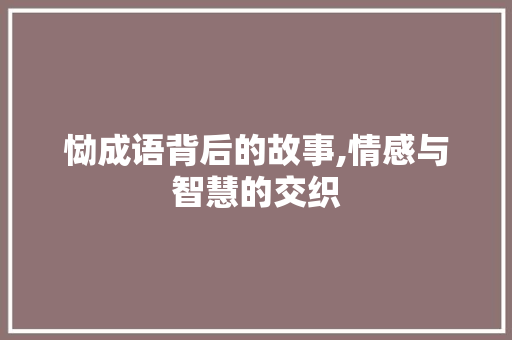 恸成语背后的故事,情感与智慧的交织