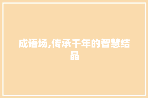 成语场,传承千年的智慧结晶