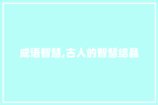 成语智慧,古人的智慧结晶