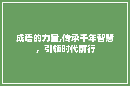 成语的力量,传承千年智慧，引领时代前行