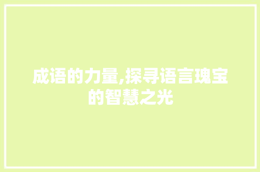 成语的力量,探寻语言瑰宝的智慧之光