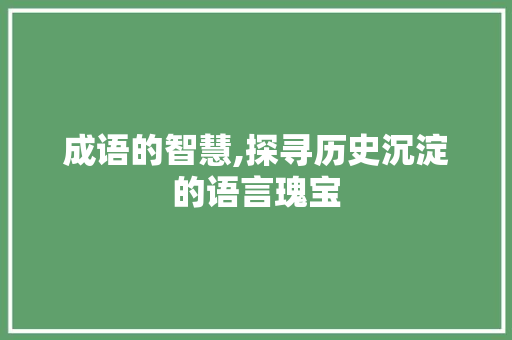成语的智慧,探寻历史沉淀的语言瑰宝
