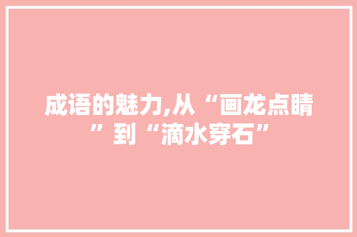 成语的魅力,从“画龙点睛”到“滴水穿石”