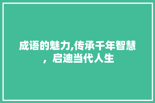 成语的魅力,传承千年智慧，启迪当代人生