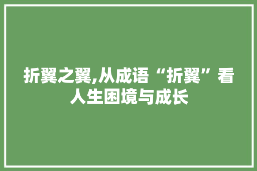 折翼之翼,从成语“折翼”看人生困境与成长