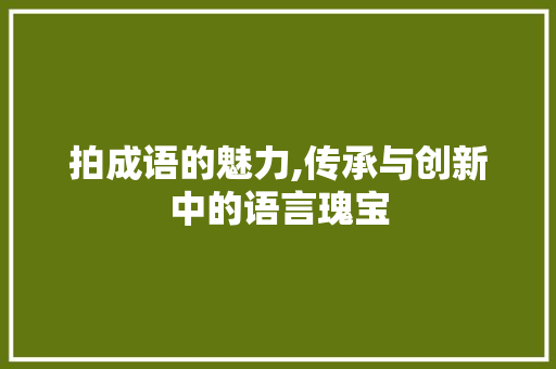 拍成语的魅力,传承与创新中的语言瑰宝