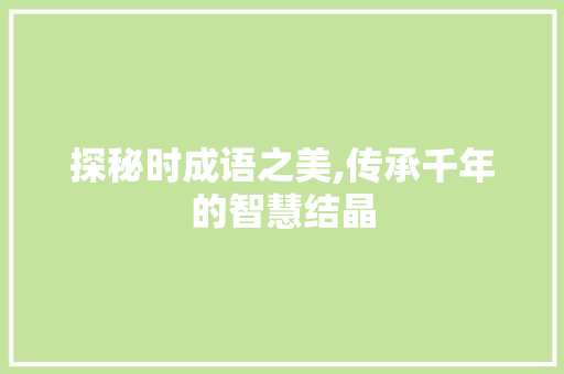 探秘时成语之美,传承千年的智慧结晶