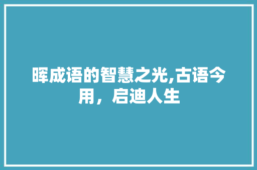 晖成语的智慧之光,古语今用，启迪人生