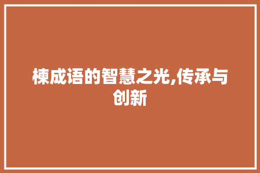 楝成语的智慧之光,传承与创新