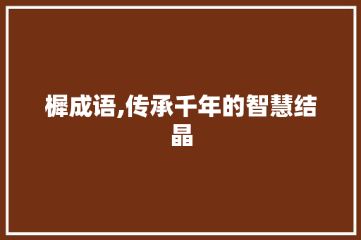 樨成语,传承千年的智慧结晶