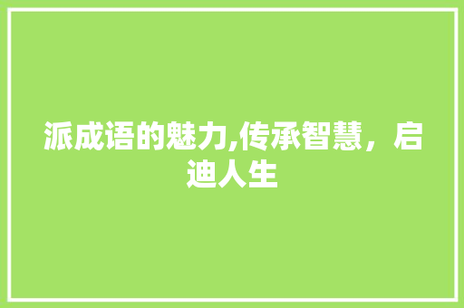 派成语的魅力,传承智慧，启迪人生