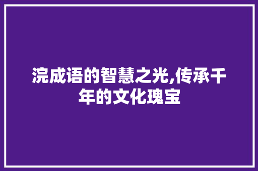 浣成语的智慧之光,传承千年的文化瑰宝