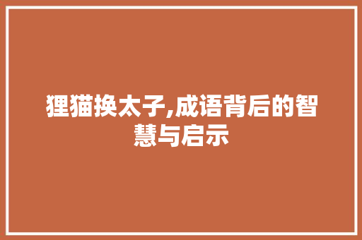 狸猫换太子,成语背后的智慧与启示