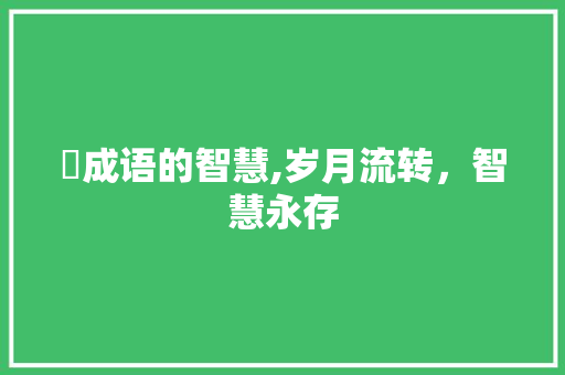瓩成语的智慧,岁月流转，智慧永存