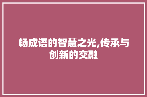畅成语的智慧之光,传承与创新的交融