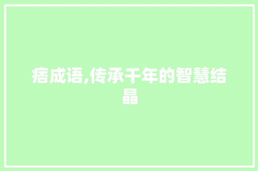 痞成语,传承千年的智慧结晶