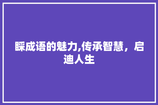 睬成语的魅力,传承智慧，启迪人生