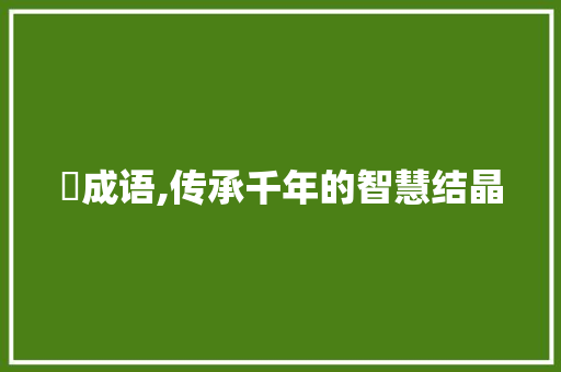 祄成语,传承千年的智慧结晶
