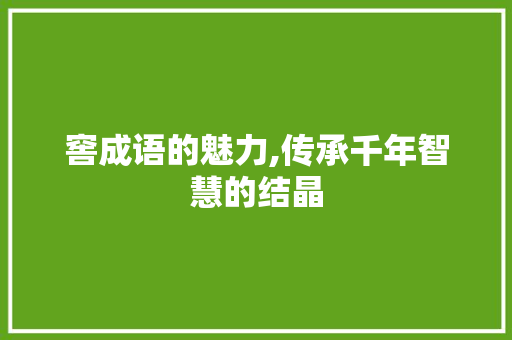 窖成语的魅力,传承千年智慧的结晶