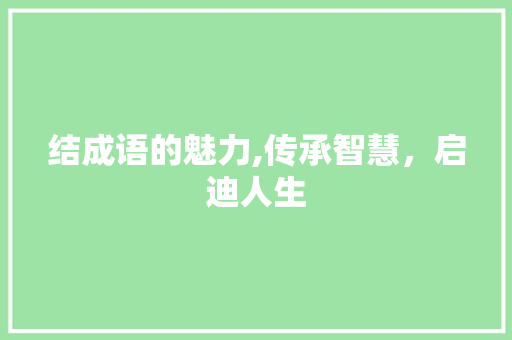 结成语的魅力,传承智慧，启迪人生