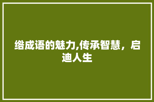 绺成语的魅力,传承智慧，启迪人生