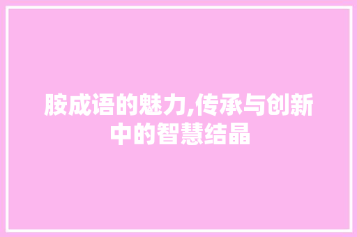 胺成语的魅力,传承与创新中的智慧结晶