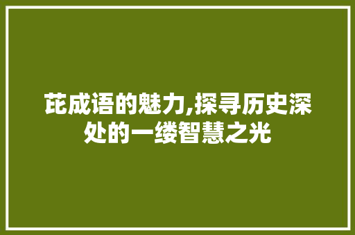 芘成语的魅力,探寻历史深处的一缕智慧之光