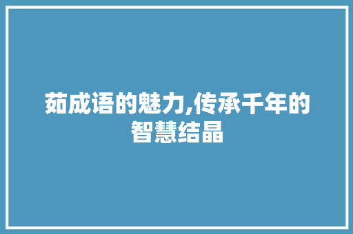 茹成语的魅力,传承千年的智慧结晶